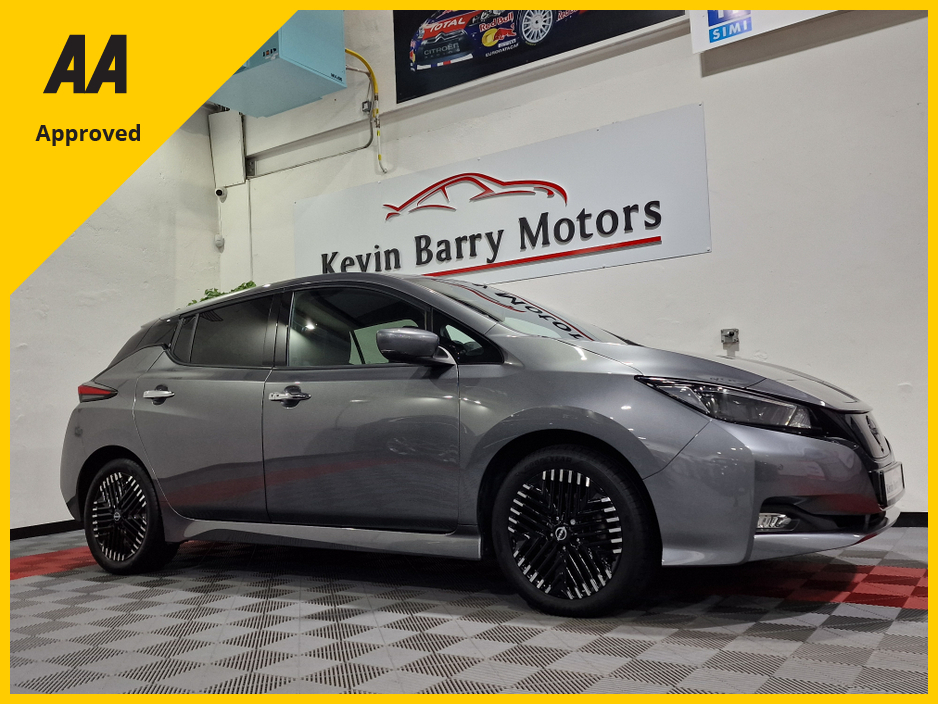 2024 Nissan Leaf for sale in Dublin