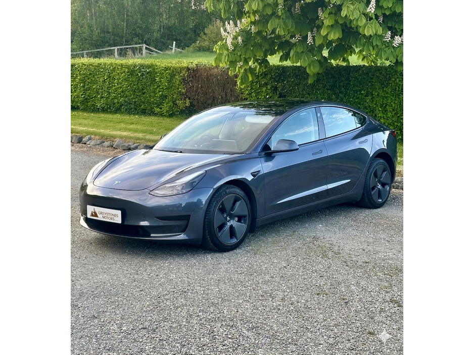 2021 Tesla Model 3 for sale in Wicklow